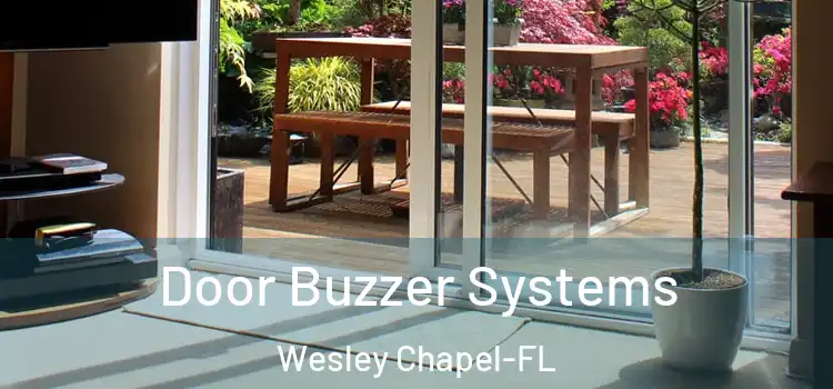 Door Buzzer Systems Wesley Chapel-FL