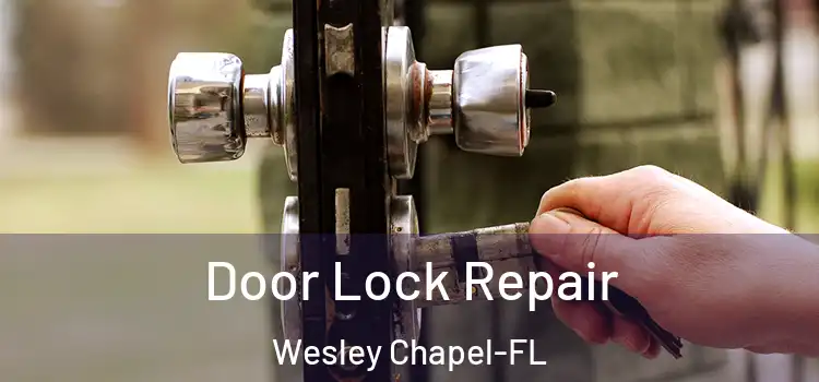 Door Lock Repair Wesley Chapel-FL