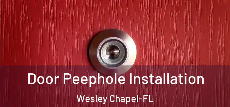  Door Peephole Installation Wesley Chapel-FL