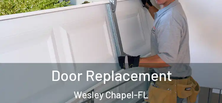 Door Replacement Wesley Chapel-FL
