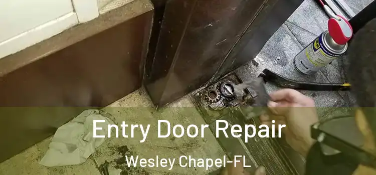 Entry Door Repair Wesley Chapel-FL