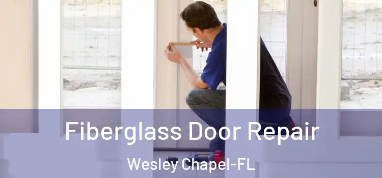  Fiberglass Door Repair Wesley Chapel-FL