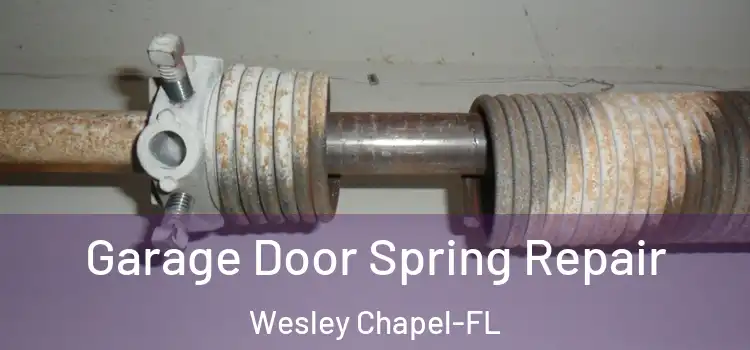 Garage Door Spring Repair Wesley Chapel-FL