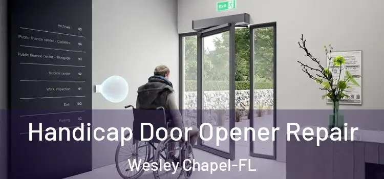 Handicap Door Opener Repair Wesley Chapel-FL