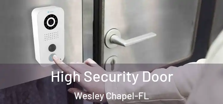  High Security Door Wesley Chapel-FL