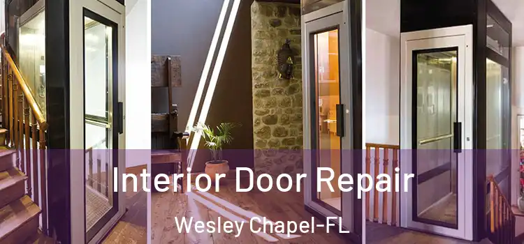  Interior Door Repair Wesley Chapel-FL