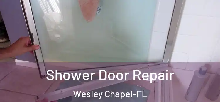  Shower Door Repair Wesley Chapel-FL