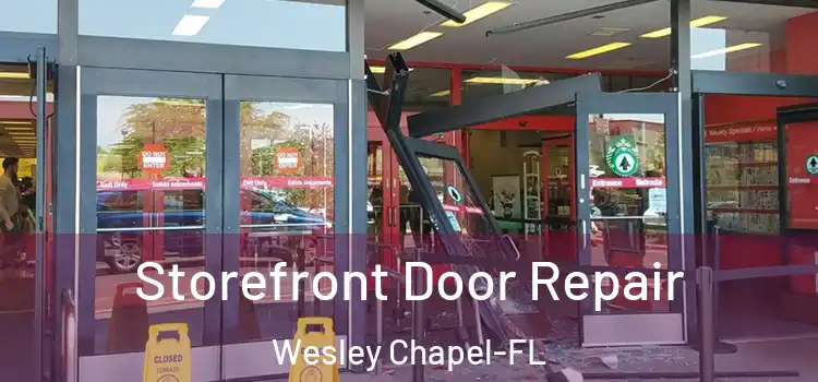 Storefront Door Repair Wesley Chapel-FL